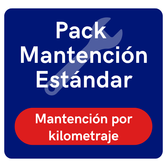 Mantención Estándar - 10.000 km