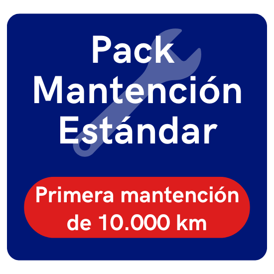 Mantención Estándar - 10.000 km
